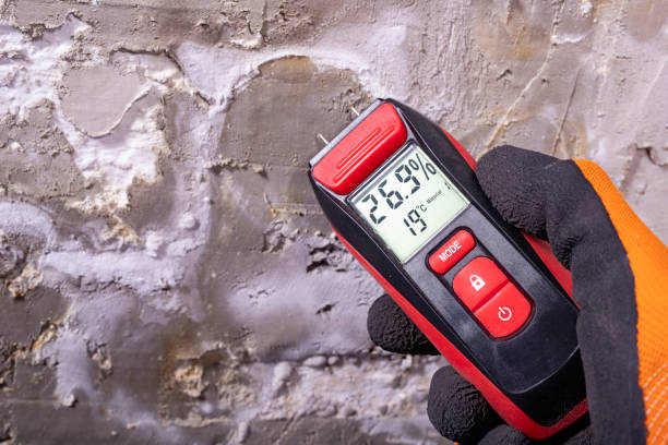 Best Water Damage Restoration  in Jennings, MO