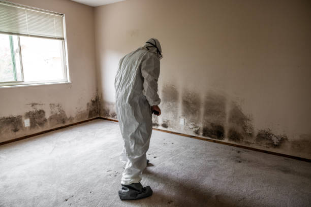 Best Crawl Space Mold Removal  in Jennings, MO